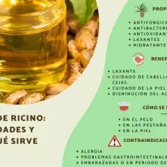 Aceite de ricino para el pelo, con sus semillas y propiedades. Ideal para cuidado capilar, pestañas y piel.