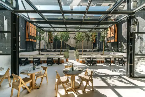Terraza de restaurante con techo de cristal, mesas de madera y piedra, árboles y un ambiente de movimiento.