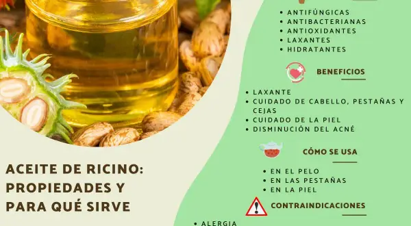 Aceite de ricino para el pelo, con sus semillas y propiedades. Ideal para cuidado capilar, pestañas y piel.