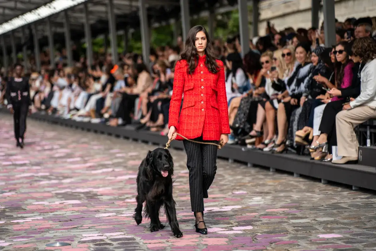 Una modelo pasea un perro negro por una pasarela. La modelo lleva un traje rojo y pantalones a rayas. El público observa desde los lados.