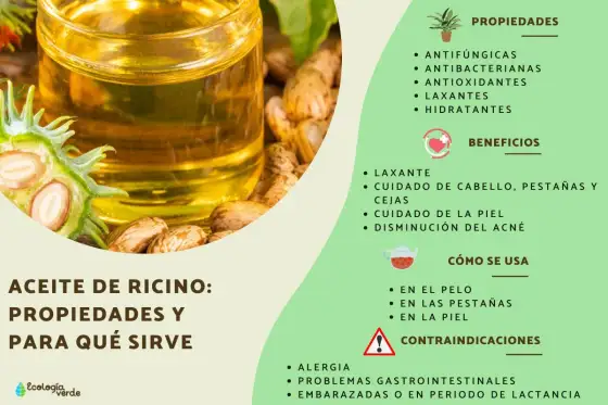 Aceite de ricino para el pelo: ¿funciona? Guía real de uso